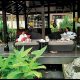 A Couple get soothing spa on the beautiful Restaurent Covered with full of Plants.